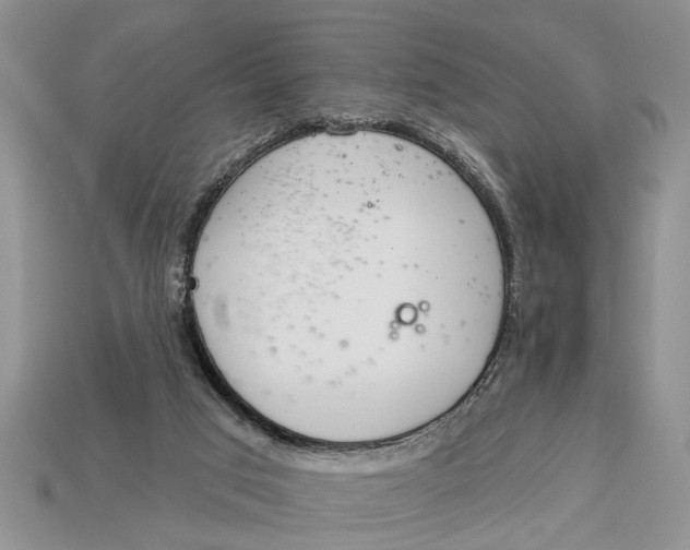 X0000112960017200909171307