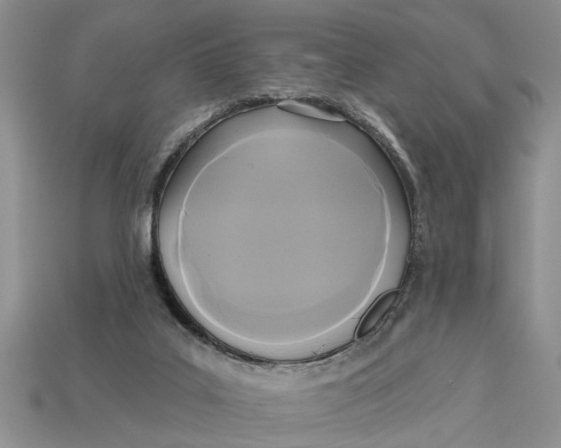 X0000112960019200909171307