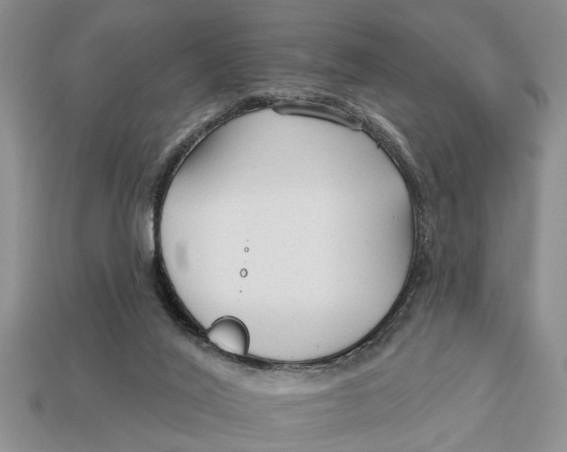 X0000112960020200909171307