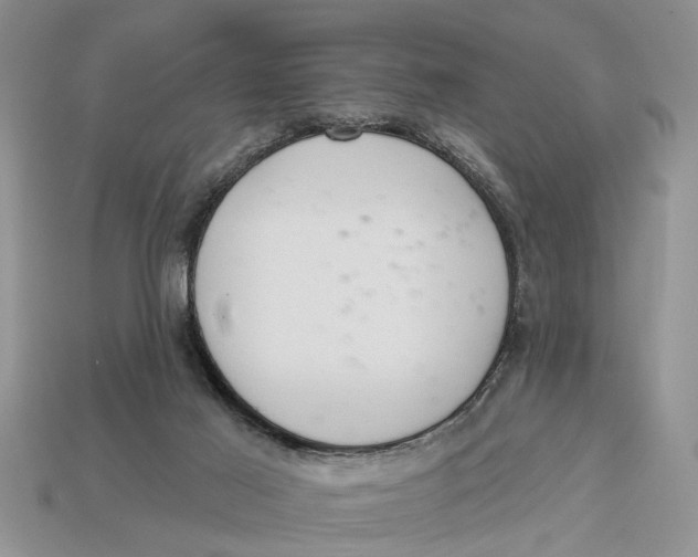 X0000112960021200909171307