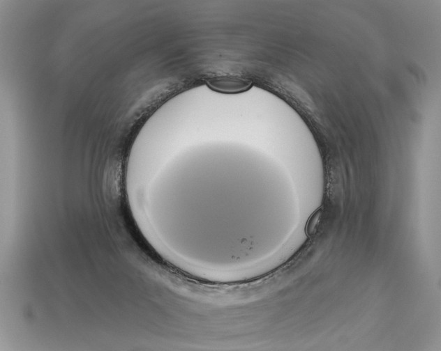 X0000112960023200909171307