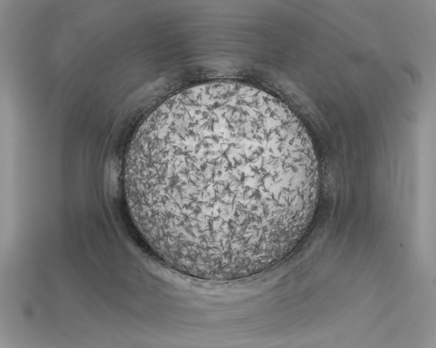 X0000112960026200909171307