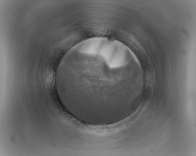 X0000112960029200909171306