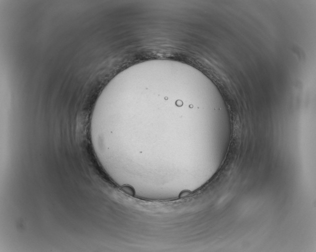 X0000112960030200909171306