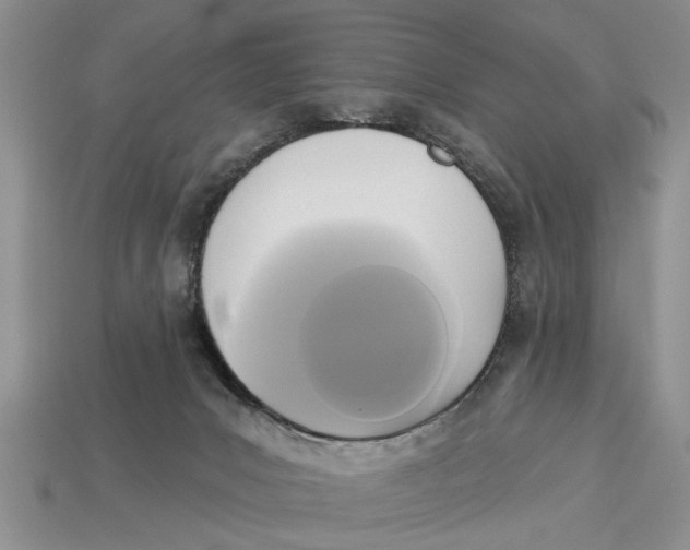 X0000112960031200909171306