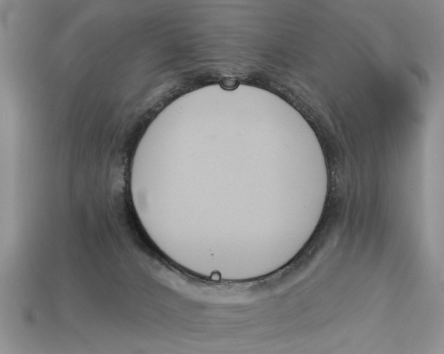 X0000112960032200909171306