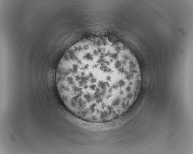 X0000112960034200909171306