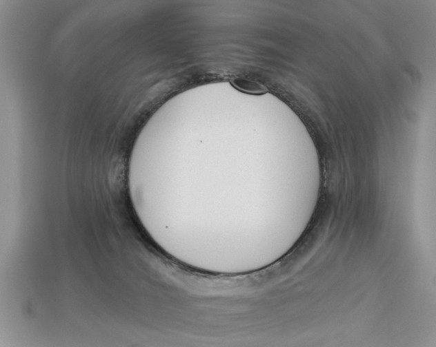 X0000112960036200909171306