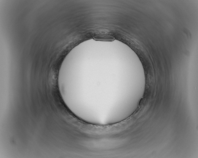 X0000112960037200909171306