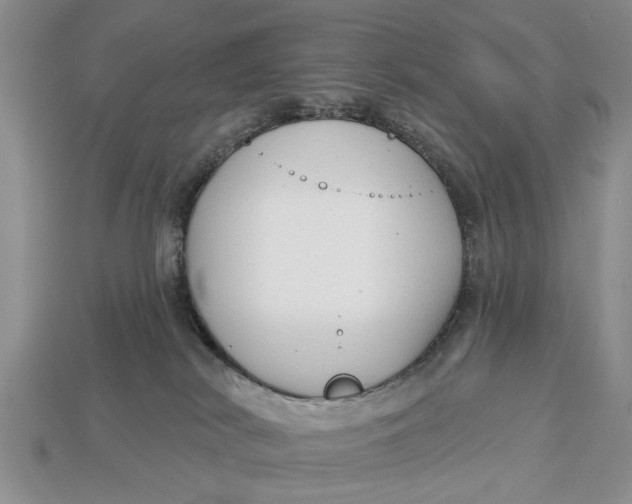 X0000112960038200909171306