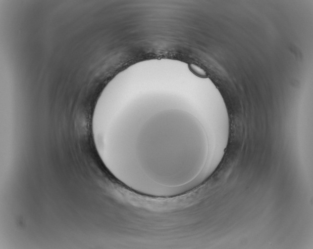 X0000112960039200909171306