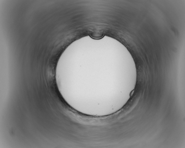 X0000112960040200909171306