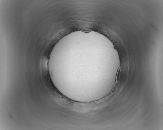 X0000112960041200909171306