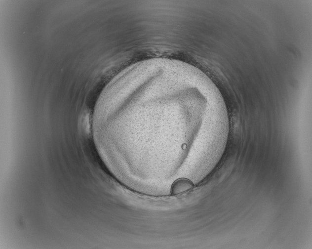 X0000112960042200909171306