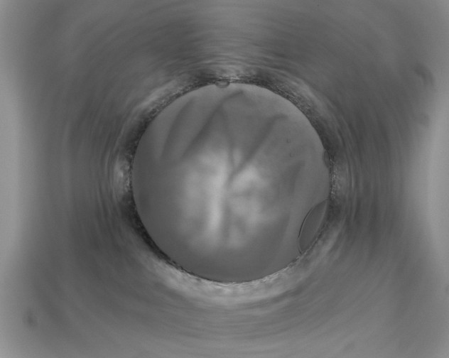 X0000112960043200909171306