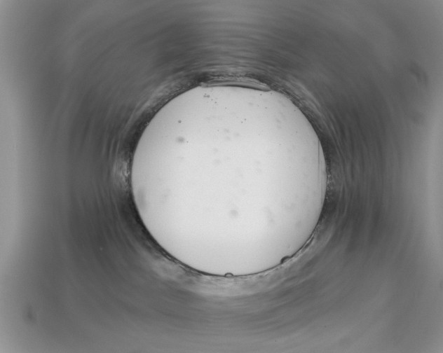 X0000112960045200909171306