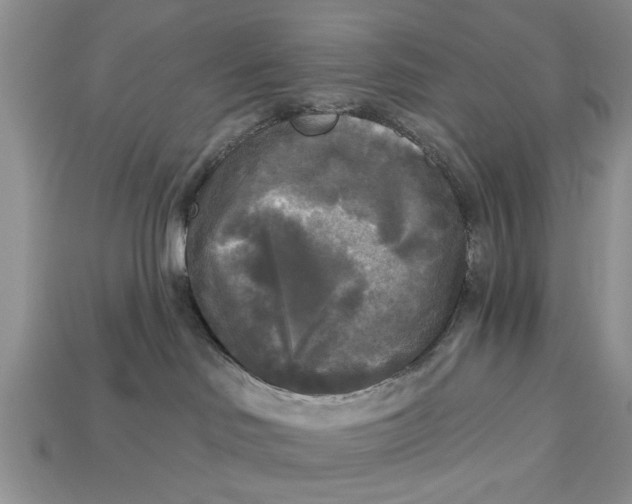 X0000112960046200909171306