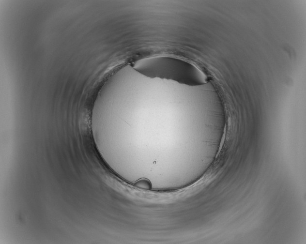 X0000112960048200909171306