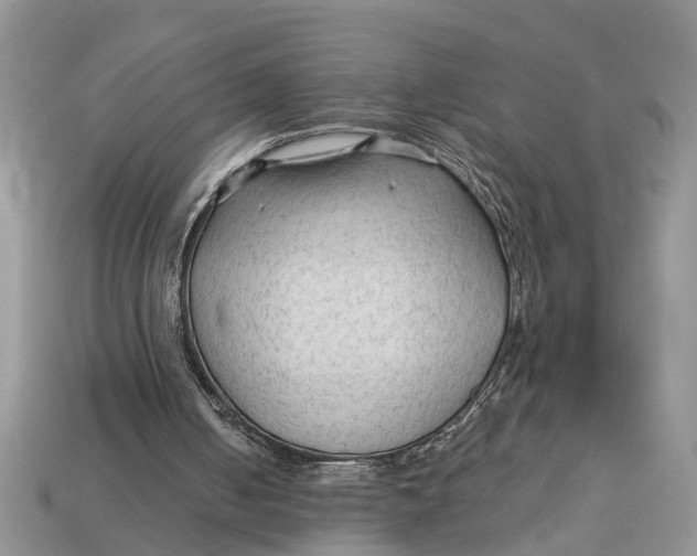 X0000112960050200909171306