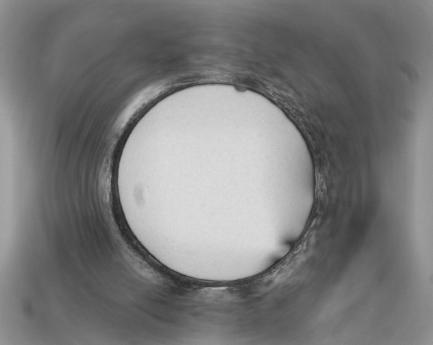 X0000112960054200909171306