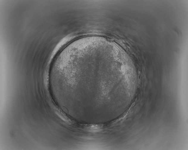 X0000112960056200909171306