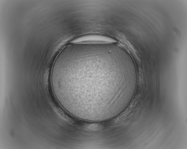 X0000112960058200909171306