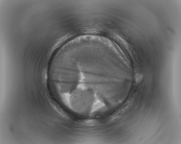 X0000112960059200909171306