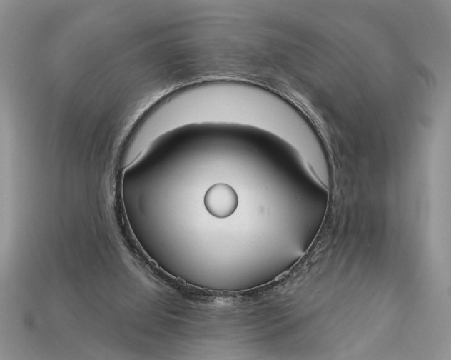 X0000112960060200909171306