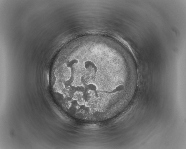 X0000112960061200909171306