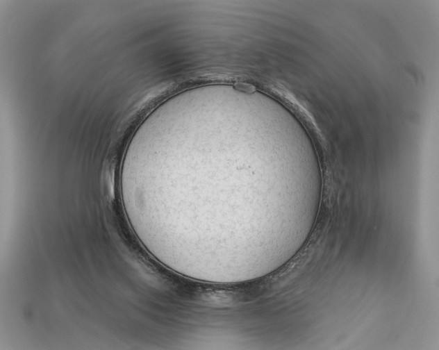 X0000112960062200909171306