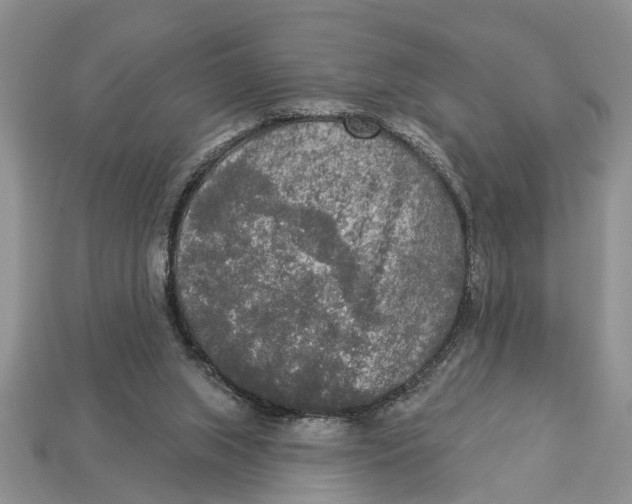 X0000112960063200909171306