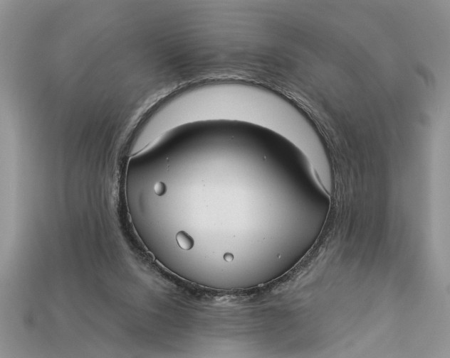 X0000112960064200909171306