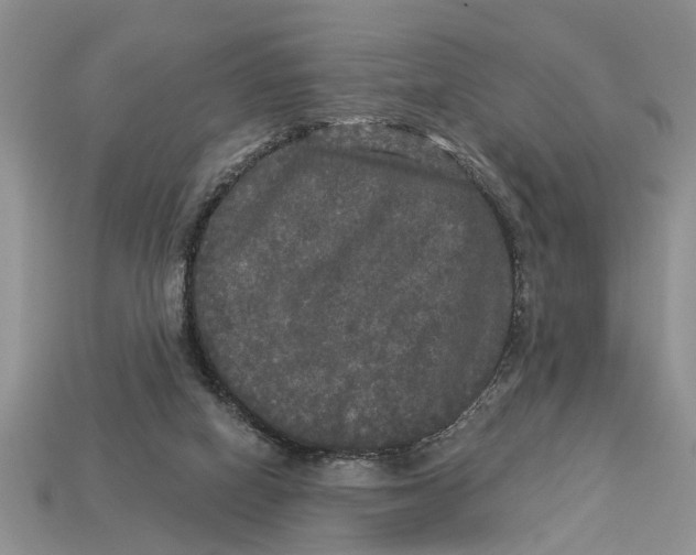 X0000112960066200909171306