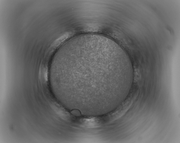 X0000112960068200909171306