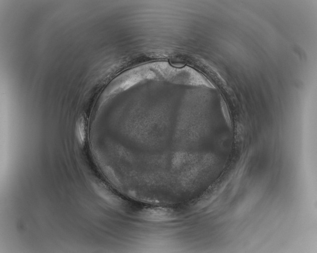 X0000112960069200909171306