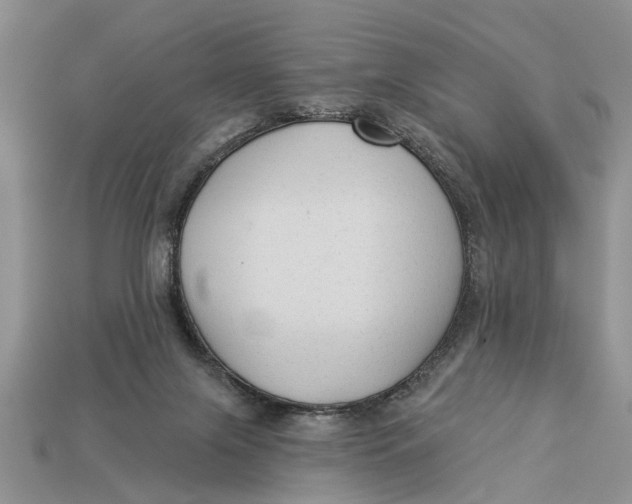 X0000112960071200909171306