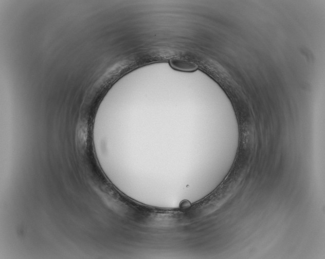 X0000112960072200909171306