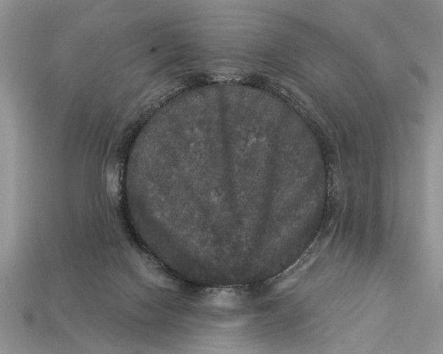 X0000112960074200909171306