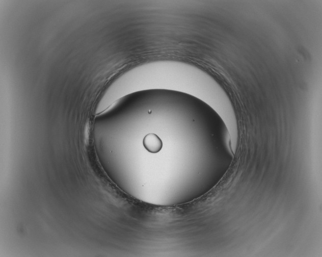 X0000112960076200909171306