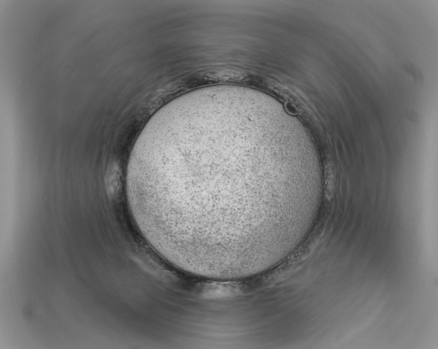 X0000112960077200909171306