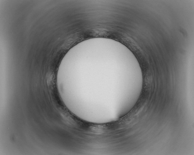 X0000112960079200909171306