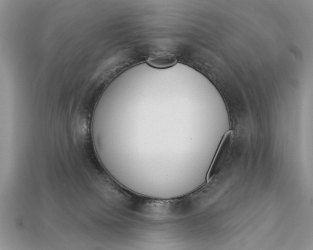 X0000112960084200909171306