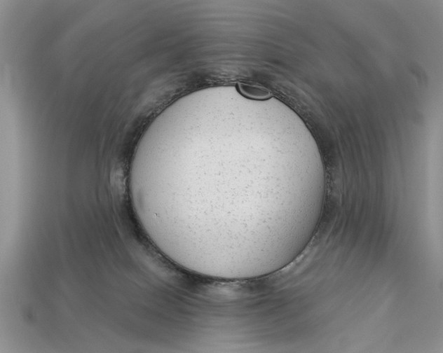 X0000112960086200909171306