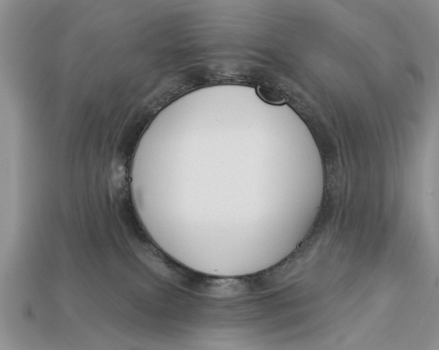 X0000112960087200909171306