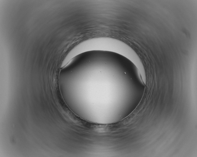 X0000112960088200909171306