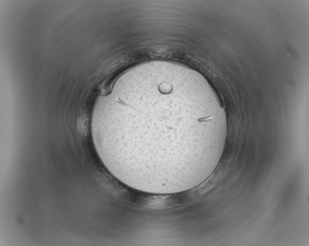 X0000112960090200909171306