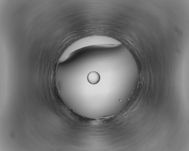 X0000112960092200909171306