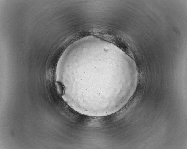 X0000112960093200909171306