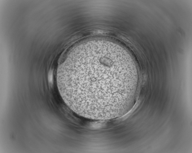 X0000112960094200909171306