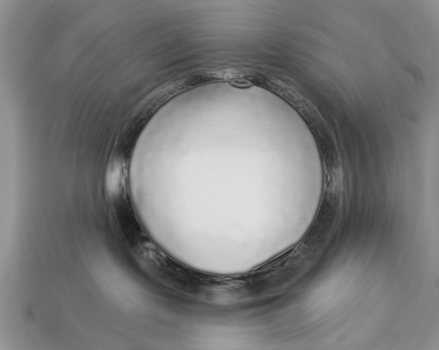 X0000112960095200909171306